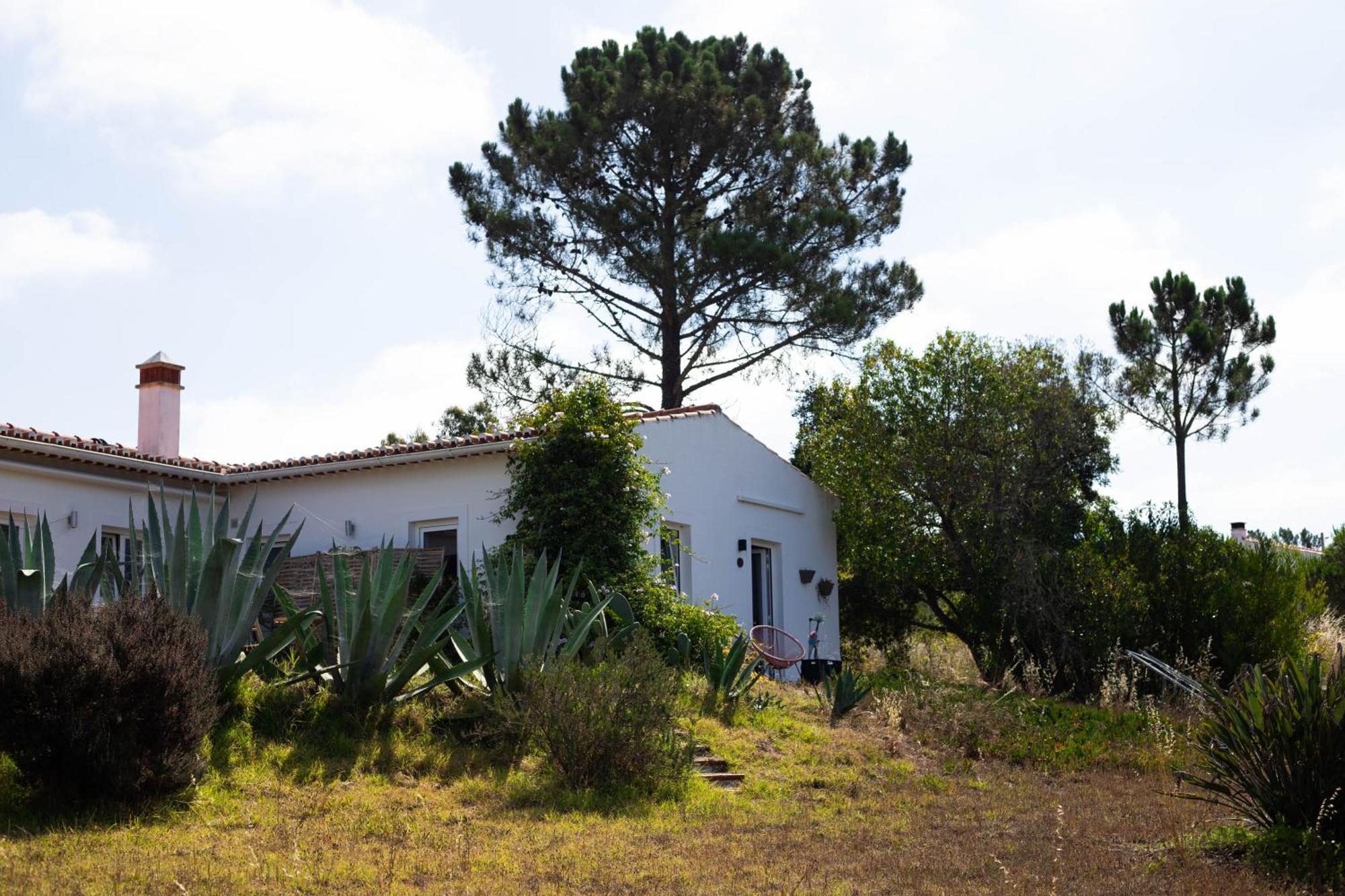 Monte Da Urze Aljezur - Agroturismo Екстер'єр фото