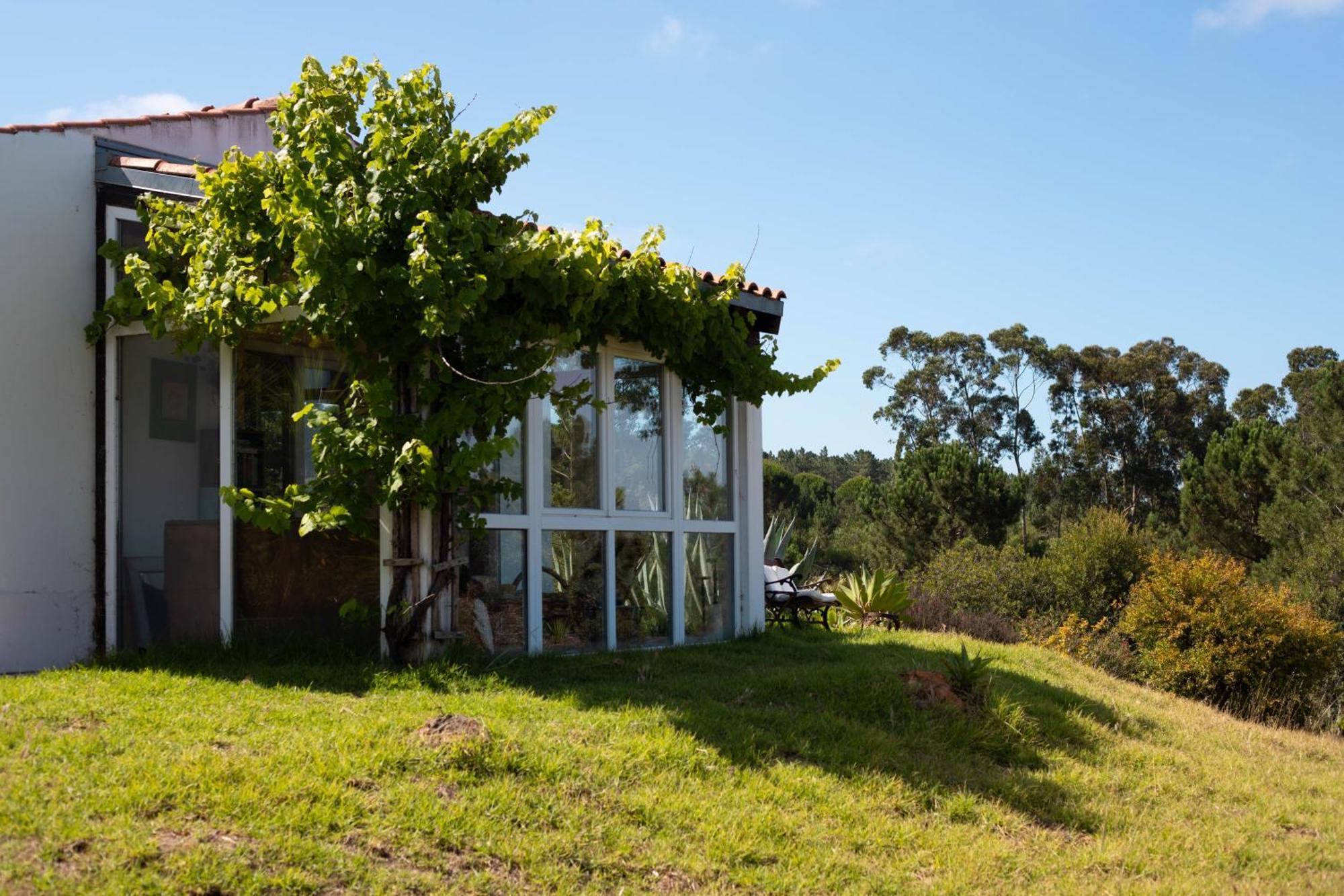 Monte Da Urze Aljezur - Agroturismo Екстер'єр фото